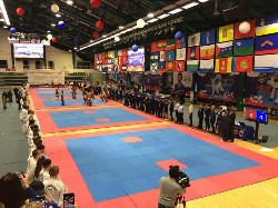 �����������