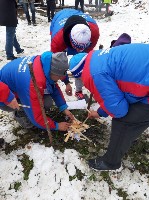 �����������