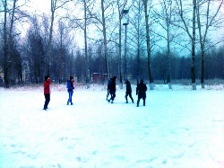 �����������