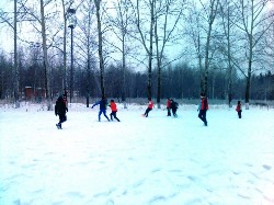 �����������