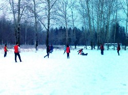 �����������