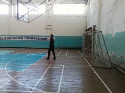 �����������