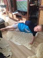 �����������