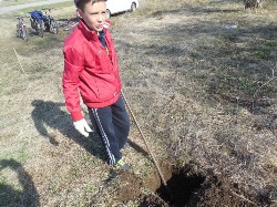 �����������