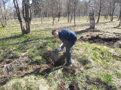 �����������