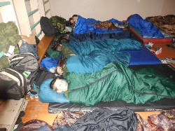 �����������