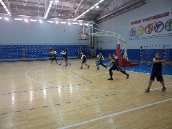 �����������