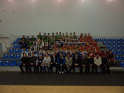 �����������