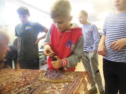 �����������