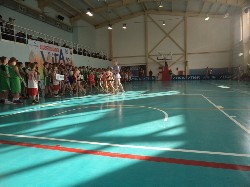 �����������