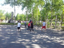 �����������