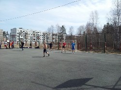 �����������