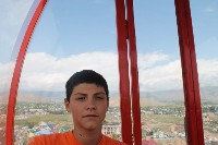 �����������