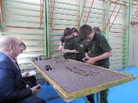 �����������