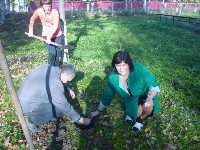 �����������