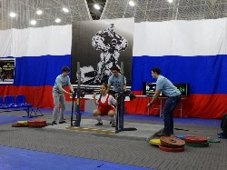 �����������