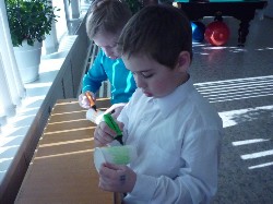 �����������