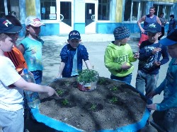 �����������