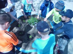 �����������