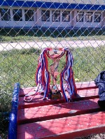 �����������