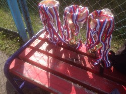 �����������