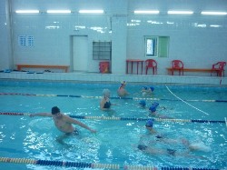 �����������