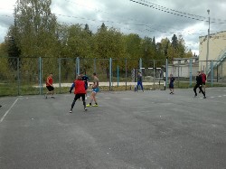 �����������