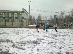 �����������