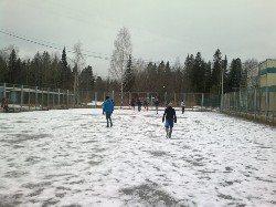 �����������